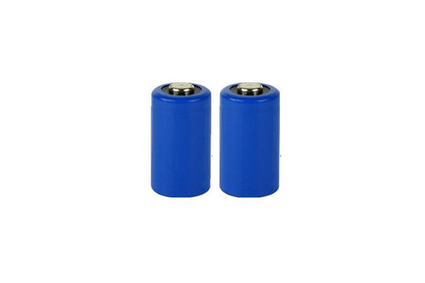 Tenergy 9V Alkaline Battery (2 pack)