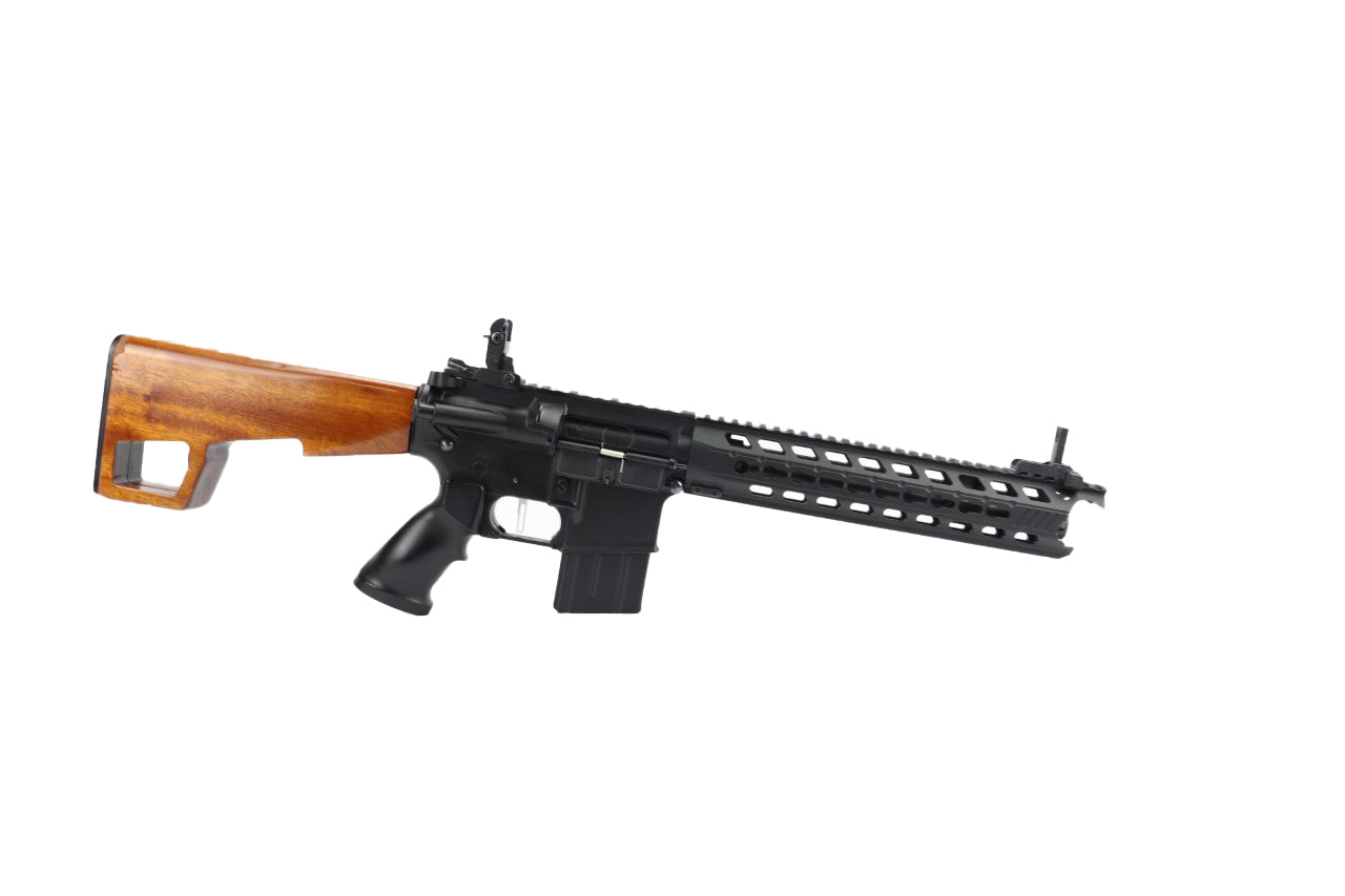 Simple Custom Built M4 DSG Rifle